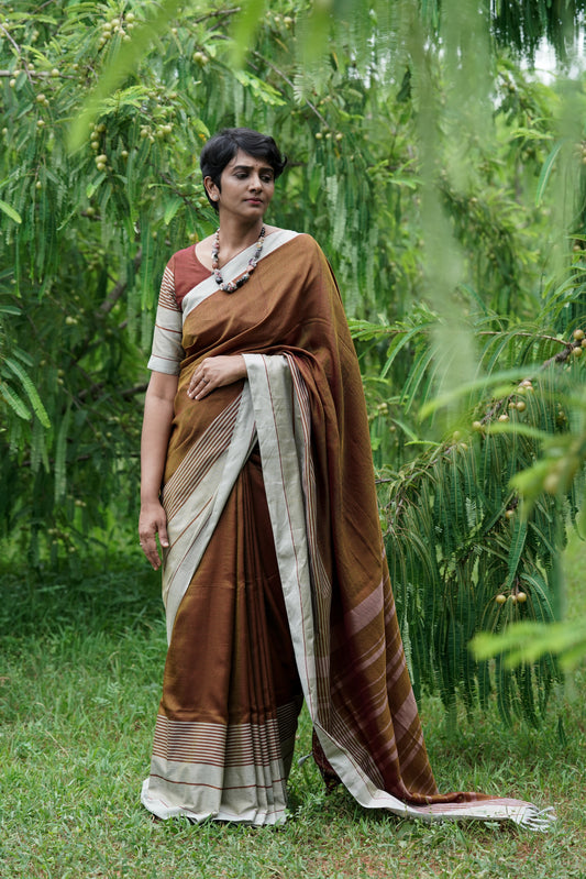 Wildwood brown-Handwoven  Dobby  cotton  saree