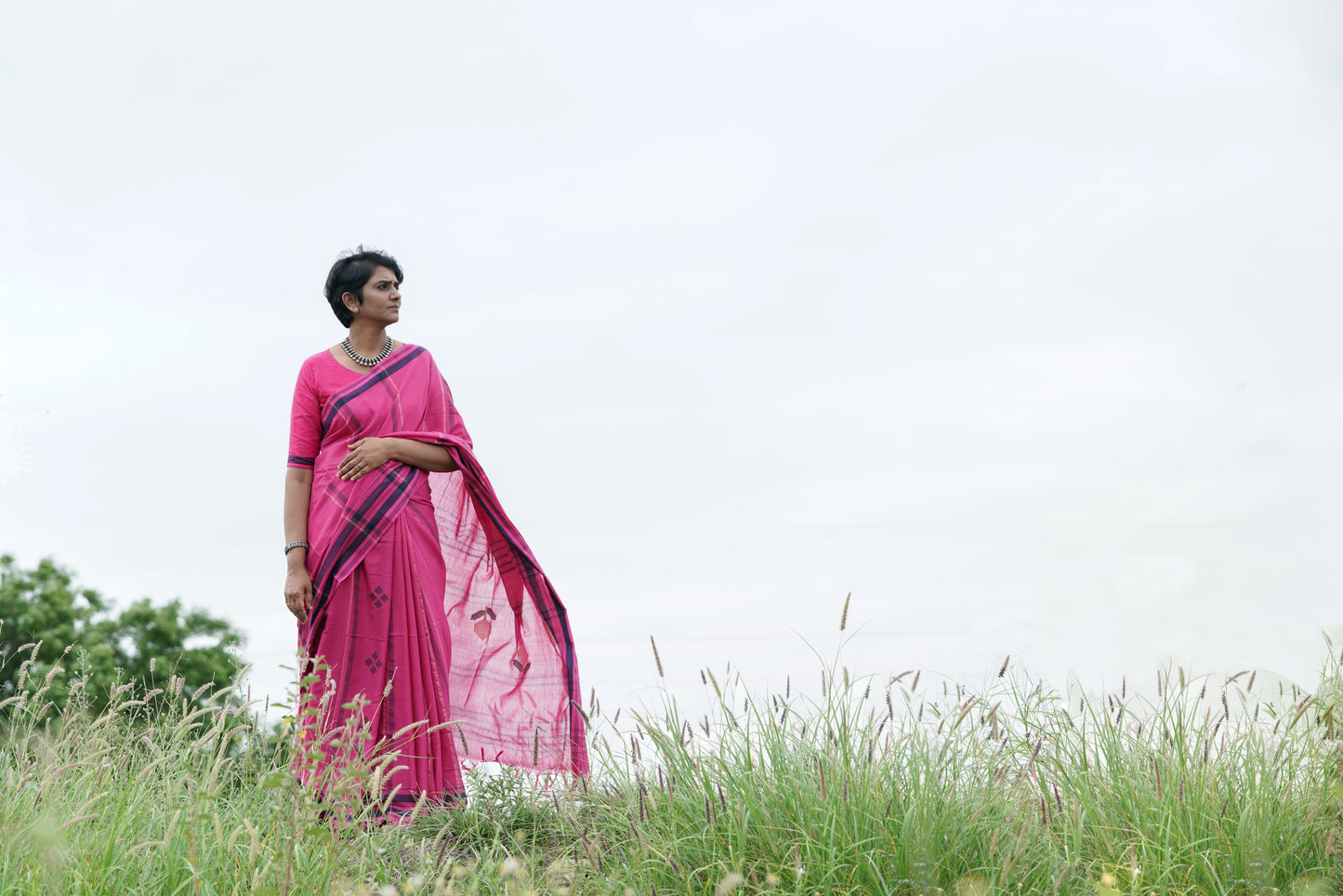 Dusky Petal -Handwoven Jamdhani cotton  saree