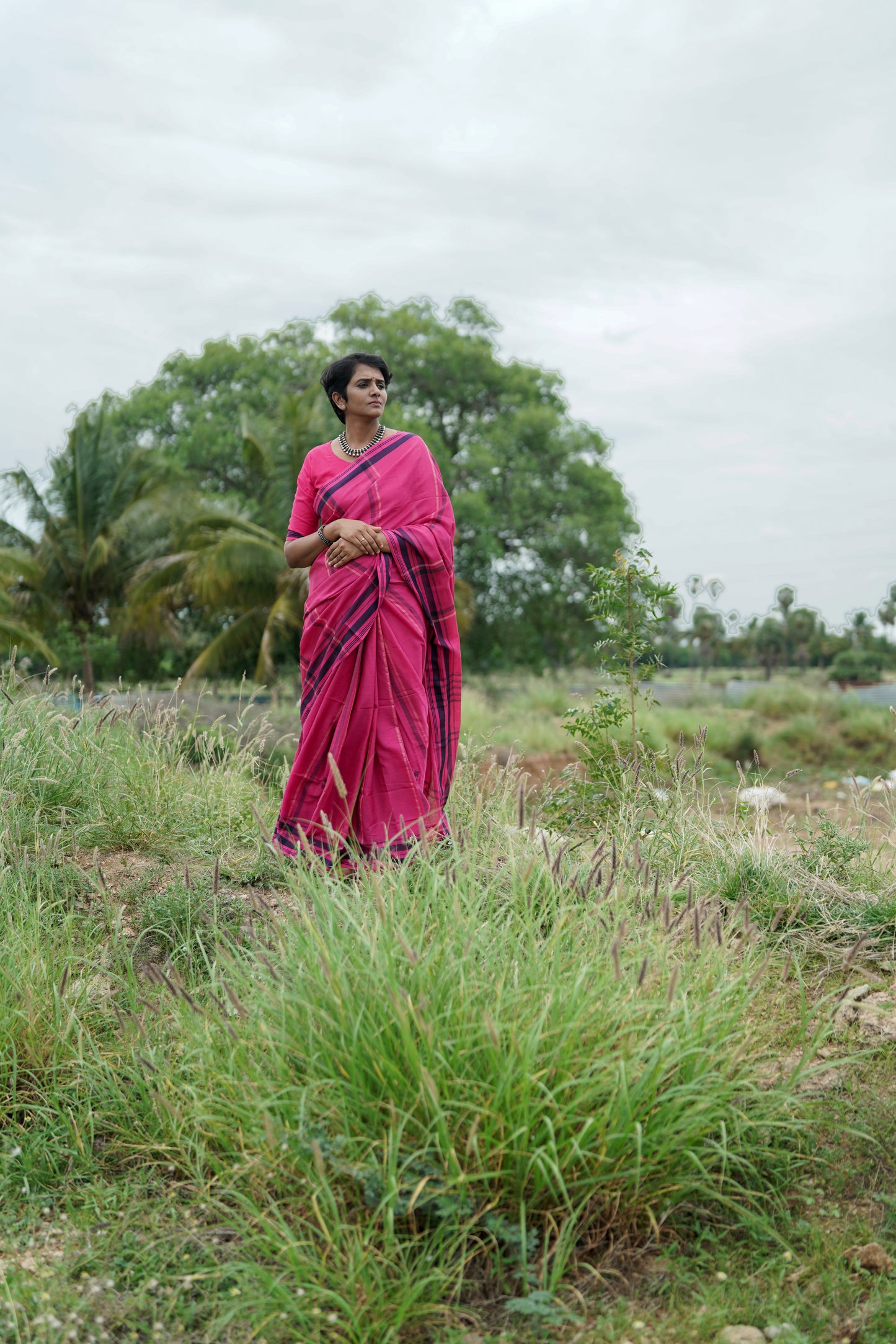 Dusky Petal -Handwoven Jamdhani cotton  saree