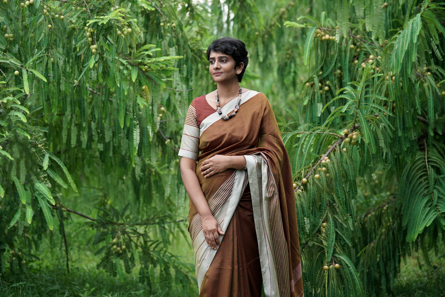 Wildwood brown-Handwoven  Dobby  cotton  saree