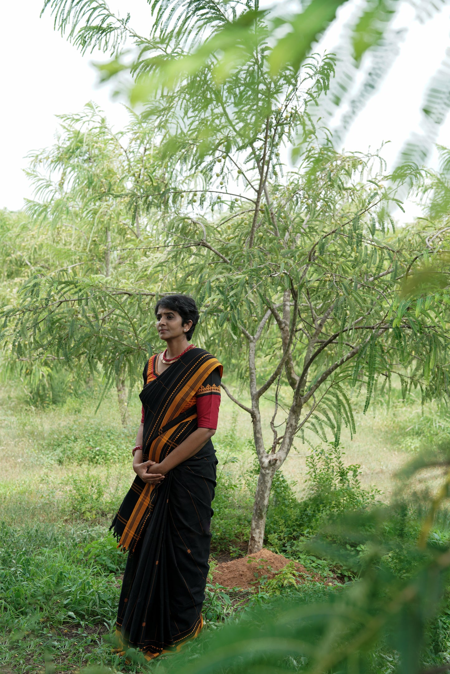 Black Forest -  Handwoven Jamdani cotton saree